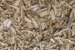biomass boilers Wallacestone